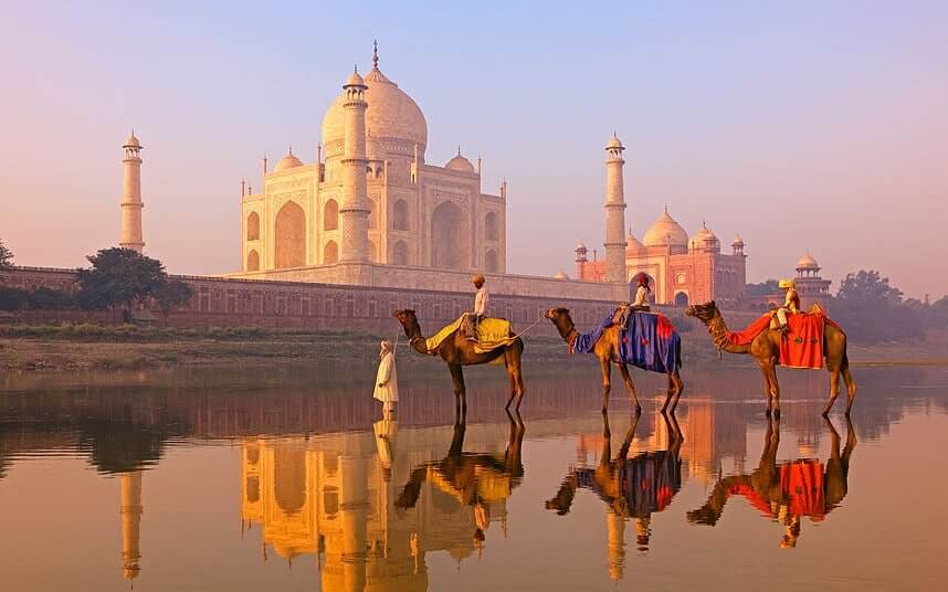 Circuit sur la route du Taj Mahal et vie sauvage Inde