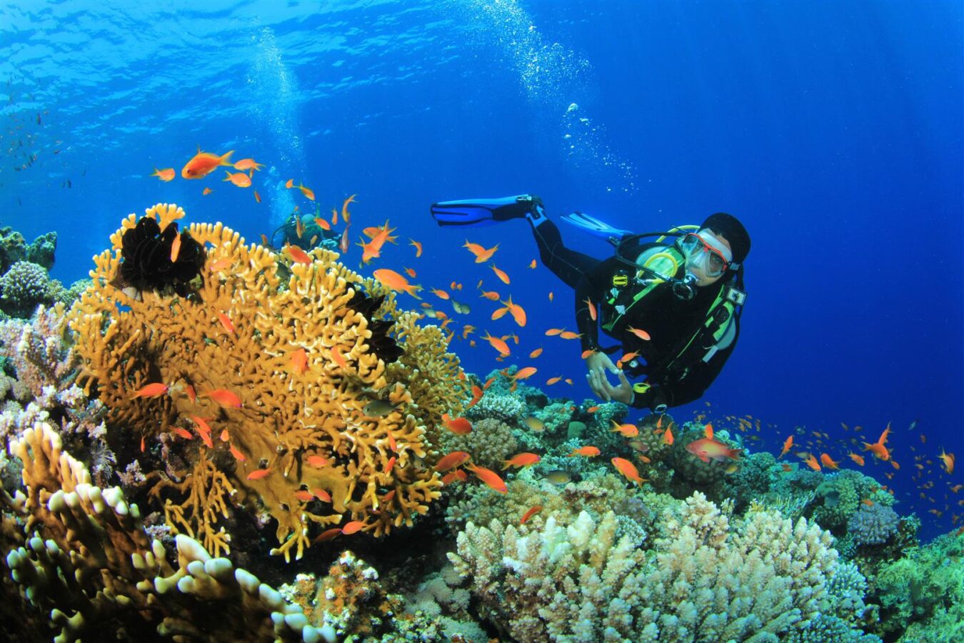 Plongée sous-marine en Andaman