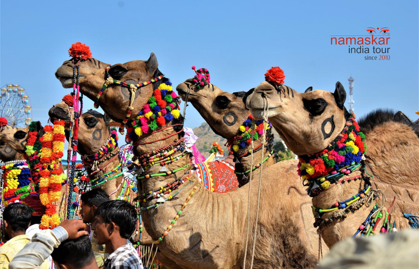 Circuit le Rajasthan et la foire aux chameaux 2022