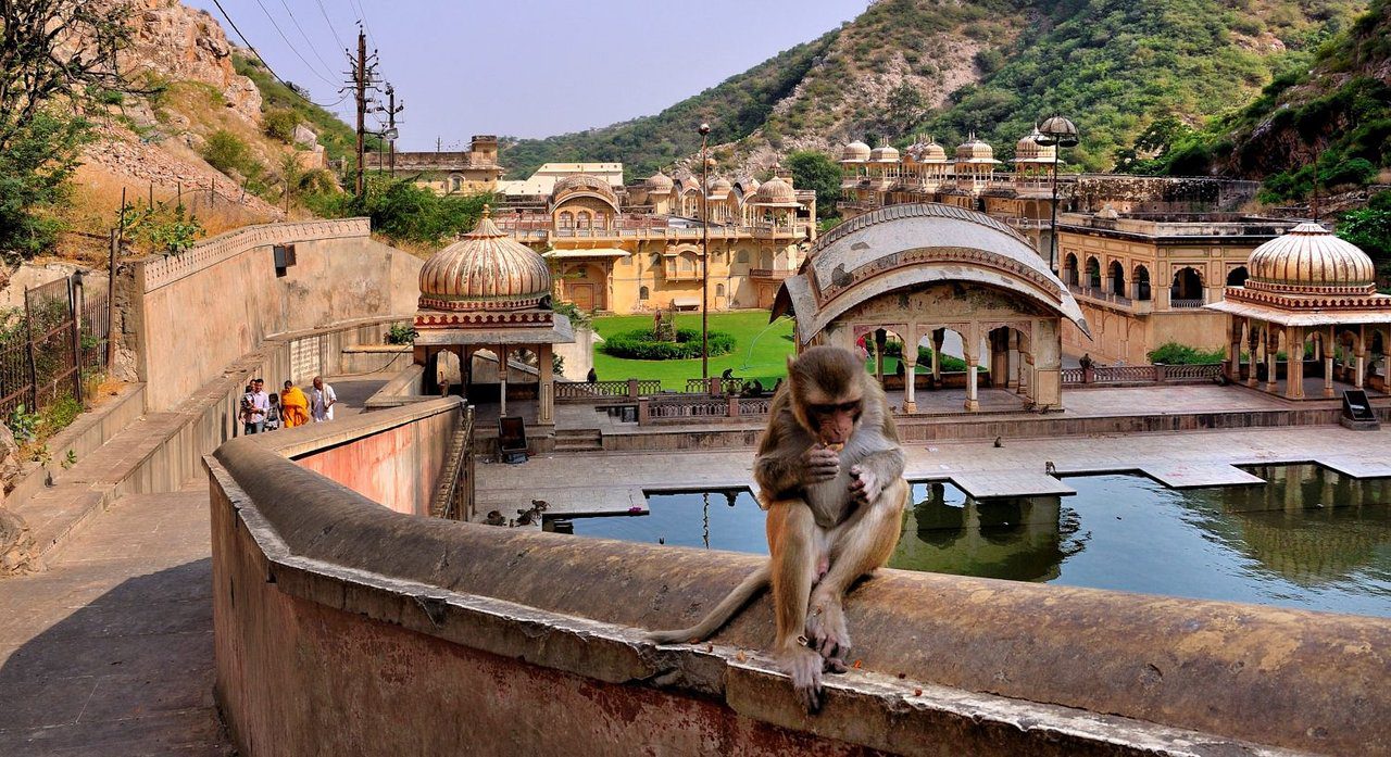 Circuits Des Temples De Jaipur
